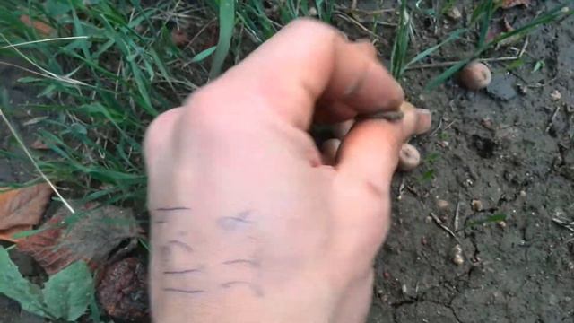 мой орехи 21 год растут смотреть онлайн