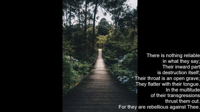 Flute Devotional: Psalm 5 music by M. Daly