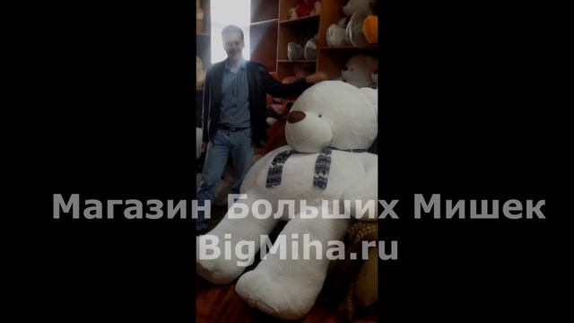 Самый большой плюшевый медведь в Санкт-Петербурге смотреть онлайн
