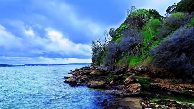 СОСТОЯНИЕ ПОБЕДЫ [Сиддхарамешвар Махарадж]