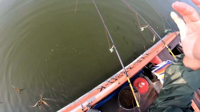 ПЬЯНАЯ кукуруза на КАРПА и карась на волос смотреть онлайн