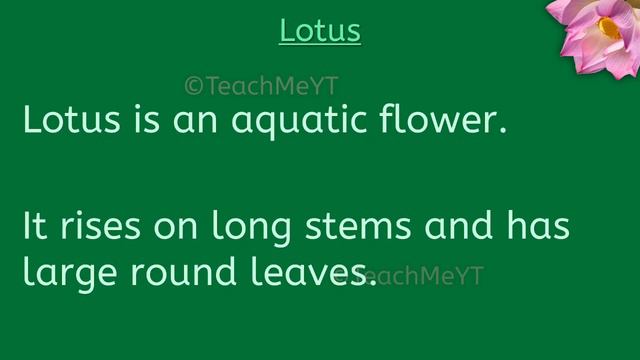 National Flower of India - 10 Lines on Lotus, The National Flower of India | TeachMeYT смотреть онлайн