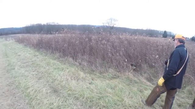 Running Beagles with the legendary Gary Brown Pt1 смотреть онлайн