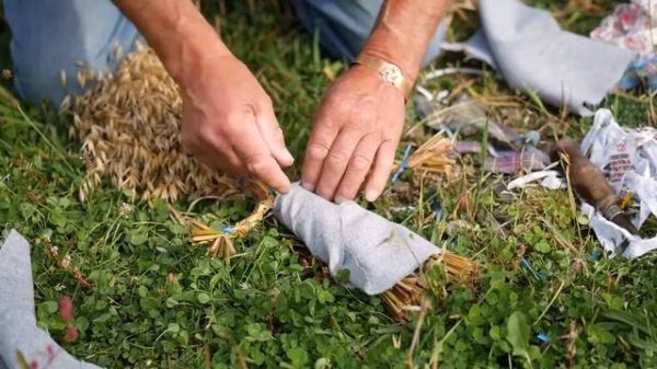 A Manx harvest tradition: The Babban ny Mheillea