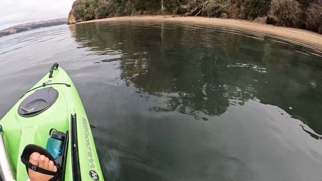 A solo overnight Kayak camping trip in Tomales Bay to see the bio luminescence August 2022 смотреть онлайн