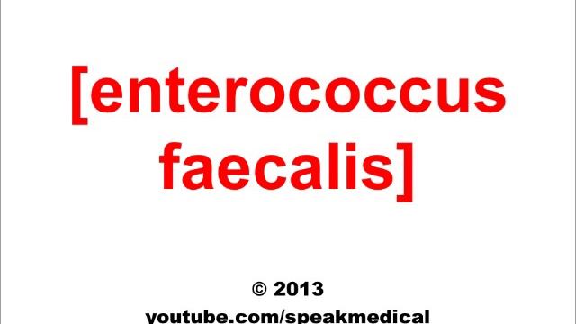 Pronounce Enterococcus Faecalis| SpeakMedical смотреть онлайн