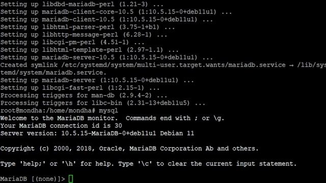 Install Cacti Debian 11 смотреть онлайн