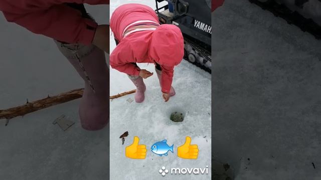 Щука на самоловку/ Карелия ☺️ Зимняя рыбалка? смотреть онлайн