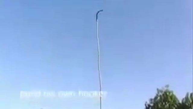 Баобаб, а хватит ли его на всех.mp4