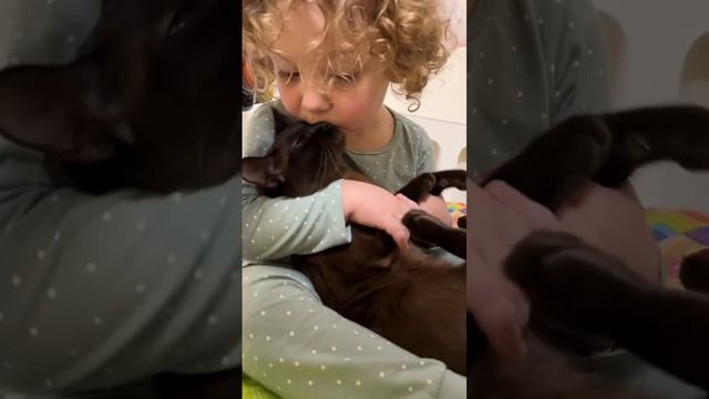 Ща поцелую… КАК ПОЦЕЛУЮ! #агатасергевна смотреть онлайн