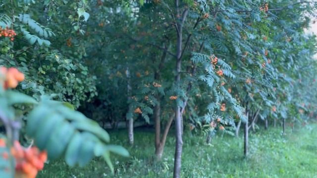 ❤Красивый стих "Факты". Христианские стихи. смотреть онлайн
