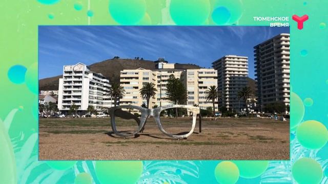 ПРИВЕТ ИЗ КЕЙПТАУНА смотреть онлайн