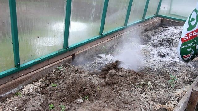 Выращивание томатов в теплице с поликарбонатом ГРИНХАУС-НАНО (часть1, высадка рассады) смотреть онлайн