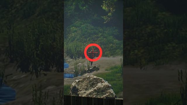 THEY NEVER LEARN - ESCAPE FROM TARKOV смотреть онлайн