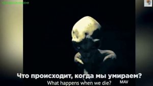 РЕАЛЬНЫЙ ДОПРОС ПРИШЕЛЬЦА! Из зоны-51! Часть-1 _New_(РУССКАЯ ОЗВУЧКА)Смотрите и будьте в курсе!?!;-