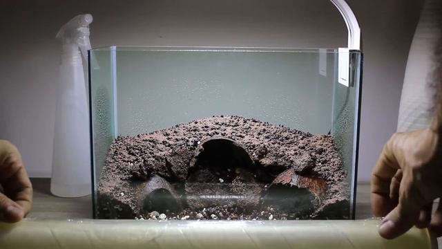 Hobbit House Betta Aquarium & Carpet Plant - Save A Betta