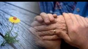 Алексей Петрухин Руки мамины