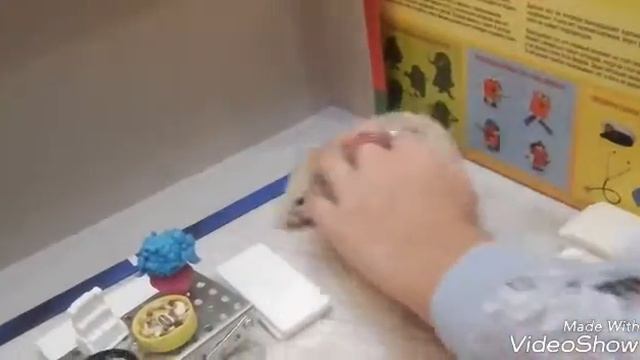 ХОМЯКИ ОЧЕНЬ МИЛО ГУЛЯЮТ:)