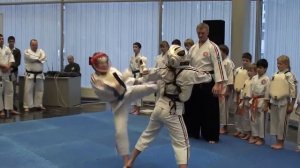Федерация Косики каратэ России. Показательное выступление. (кумитэ, ката, тамешивари)