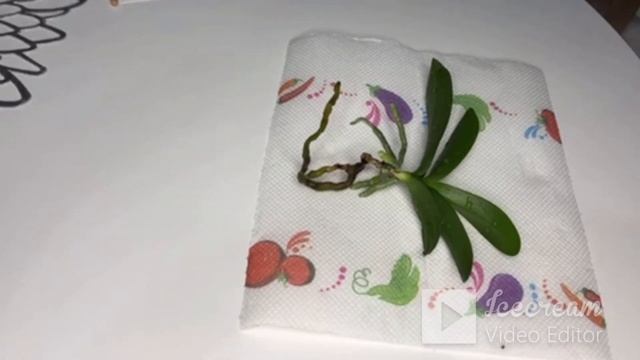 #орхидейныйуголок #орхидеи  #пересадкаорхидей 28/01/2023 ПЕРЕСАДКА орхидеи, КЕРАМЗИТ, что в горшке?