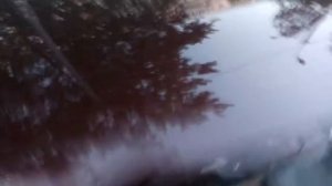 Fiat Linea (Фиат Линеа) 1,3, дизель, рестайлинг, 2013