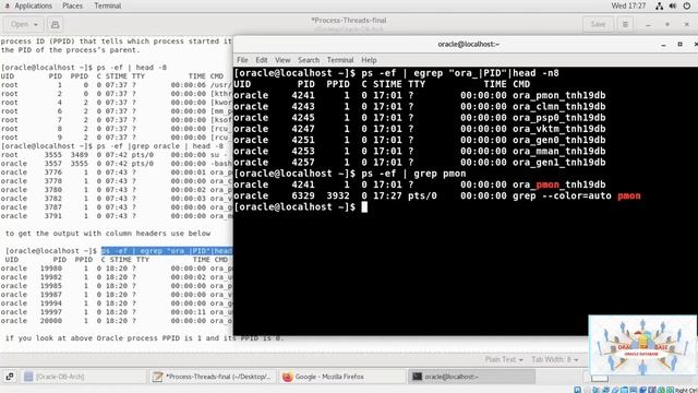 Oracle Non Multitenancy Database Architecture - Lesson - 12 смотреть онлайн