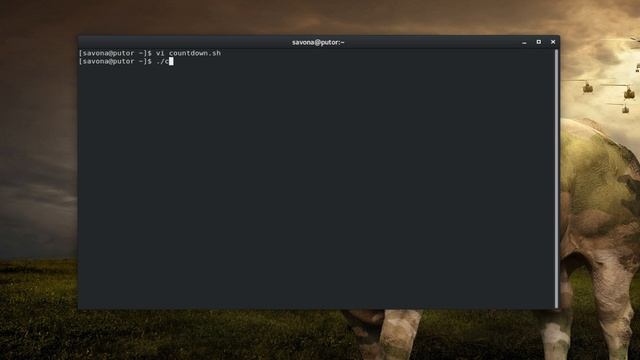 How to Make a Simple Countdown Timer in Bash смотреть онлайн