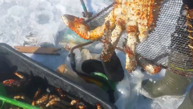 02.03.2020 год, поездка на крабалку! смотреть онлайн