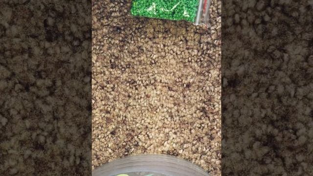 Обзор на мой бисер ? смотреть онлайн