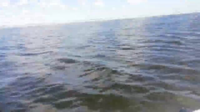 Фрегат 310 air и mercury 3.3 смотреть онлайн