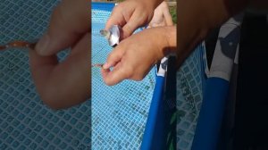 #Ремонт каркасного бассейна не сливая воду.Repair of a frame pool without draining the water.