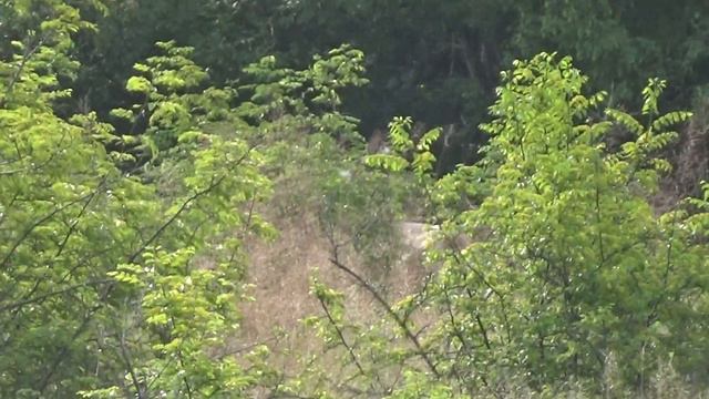 Нашественици в Аркутино смотреть онлайн