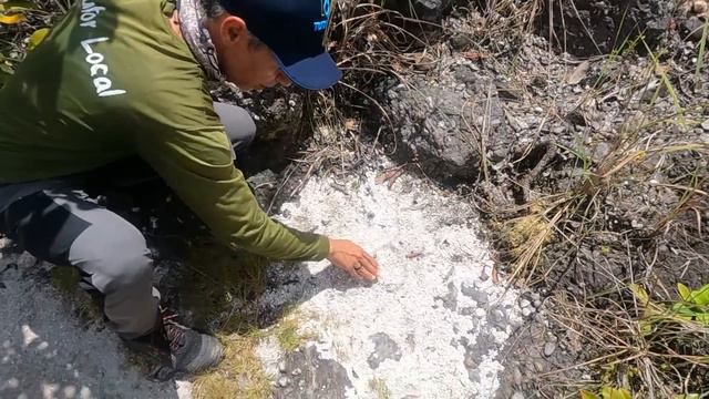 Conheci um dos lugares mais lindos do turismo na Amazônia Serra do Tepequém, em Roraima COM EMOÇÃO