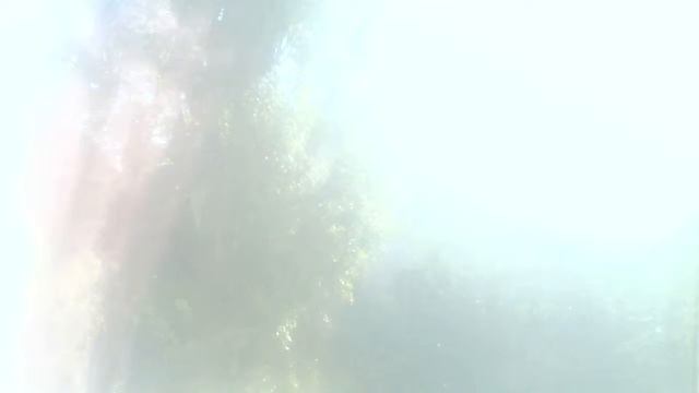 GAME FARM WAR FRAME[THE MULTIREALM](We On📺)¤1000 Sub Goal discord👽🖖🏿💯⚡🎯👑BOT B TPAHCAX TyT KAK TyT📺✨ смотреть онлайн