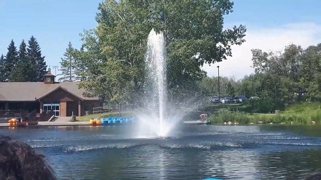 Bower ponds.Summer.Paddle boats.//Бауэр пондс.Лето.Катание на байдарках. смотреть онлайн