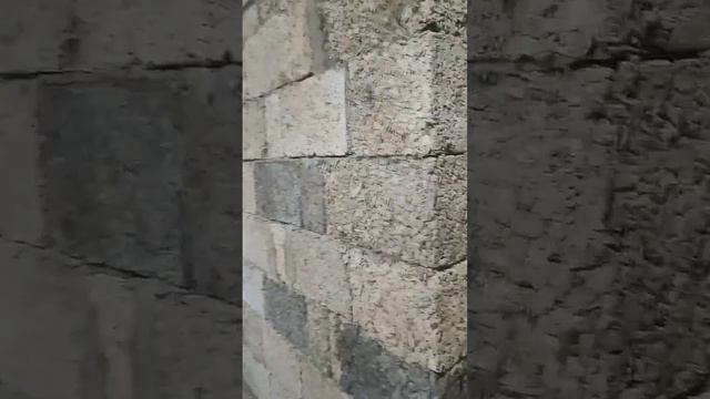 г.Старая Русса, строительство коттеджа из арболита 500*200*300. Обзор первого этажа Арболит ВН ?