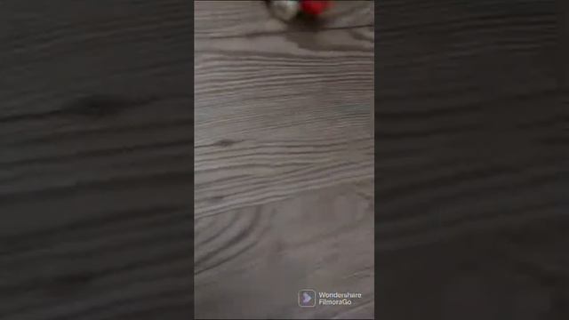 Hotwheels and Among us: Mafia game смотреть онлайн