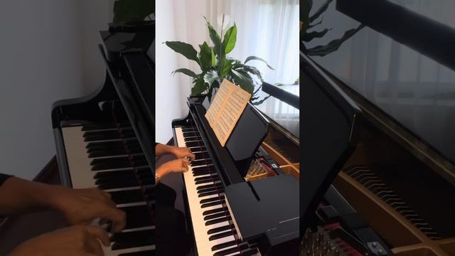 R.Schumann Op.68 No.11 Sicilianisch Сицилийский танец #piano #música #clássica #schumann смотреть онлайн