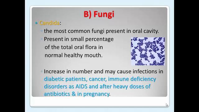 Oral Microbiology Lecture 1 смотреть онлайн