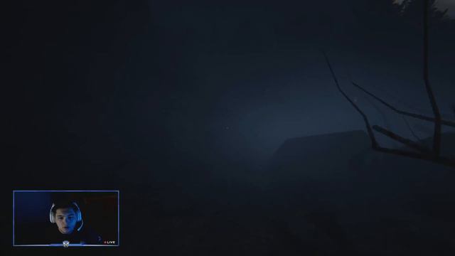 Outlast 2 - Excite's not so exciting adventure смотреть онлайн