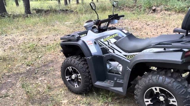 Продажа Bashan 300 Explorer