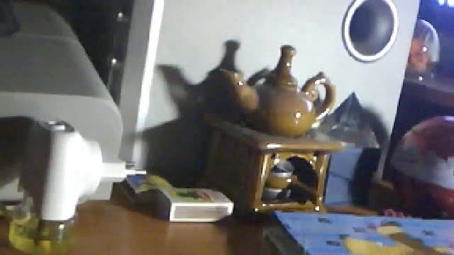 Видео с веб-камеры. Дата: 16 августа 2014 г., 3:09. смотреть онлайн