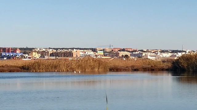 РАССКАЗЫВАЮ, КУДА ПЕРЕЕХАЛИ! ПОСЛЕДНИЙ ДЕНЬ В ИСПАНИИ. РУМТУР. ВЛОГ. смотреть онлайн