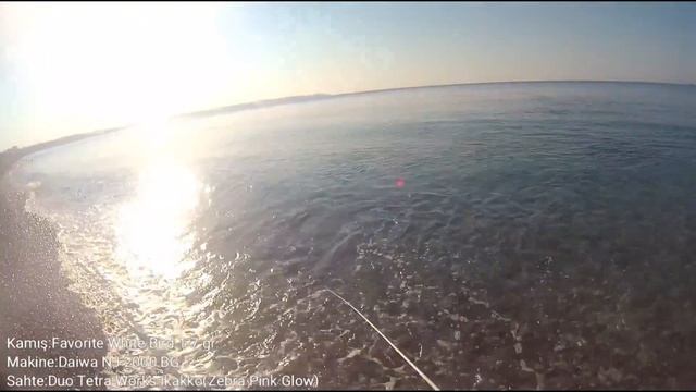 Duo Tetra Works Ikakko ile Light Rock Fishing (LRF) Tral Avı/Ultra Light 23.06.2018 смотреть онлайн