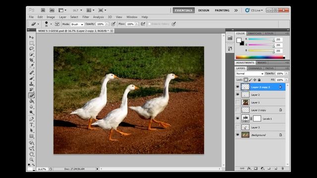 Create a perspective shadow for a pasted object in Photoshop CS5 смотреть онлайн