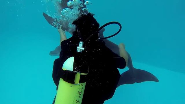 Отмечаем юбилей 65 лет смотреть онлайн