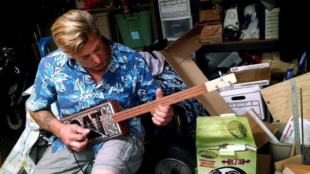 Cat License Plate Guitar #51 смотреть онлайн