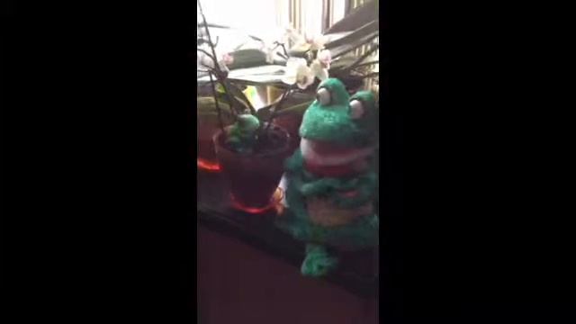 Две лягушки под окном.... смотреть онлайн