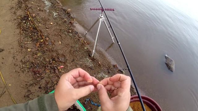 Фидерная ловля. Оснастка для дальнего заброса!? смотреть онлайн