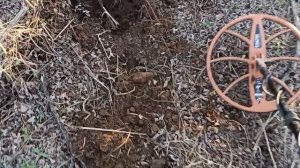 #6 Коп в Волгоградской области. Забытое урочише. Поиск кладов с металлоискателем